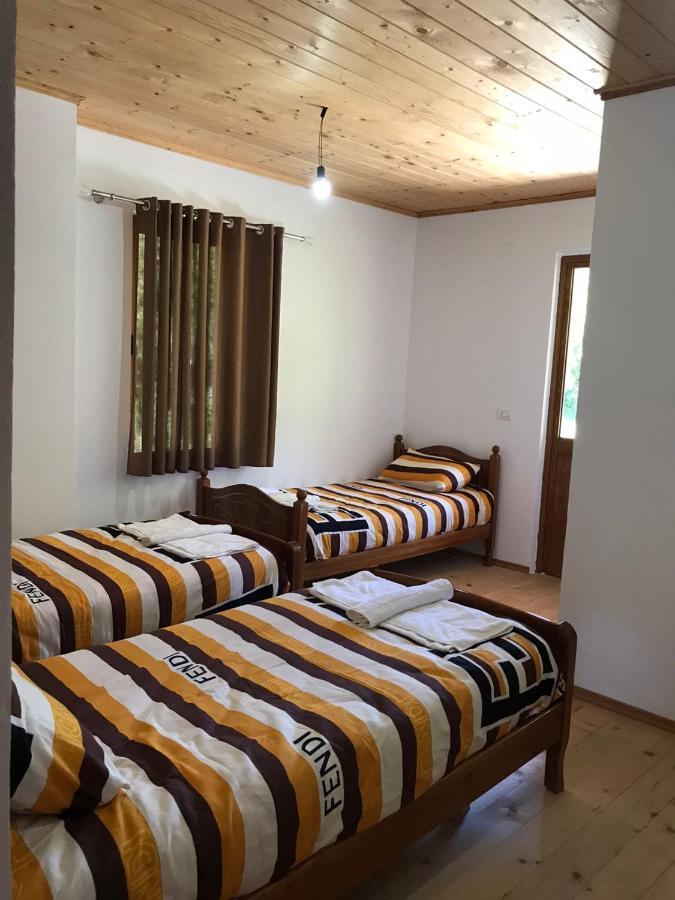 Elvis Blini Thethi Hotel Kültér fotó